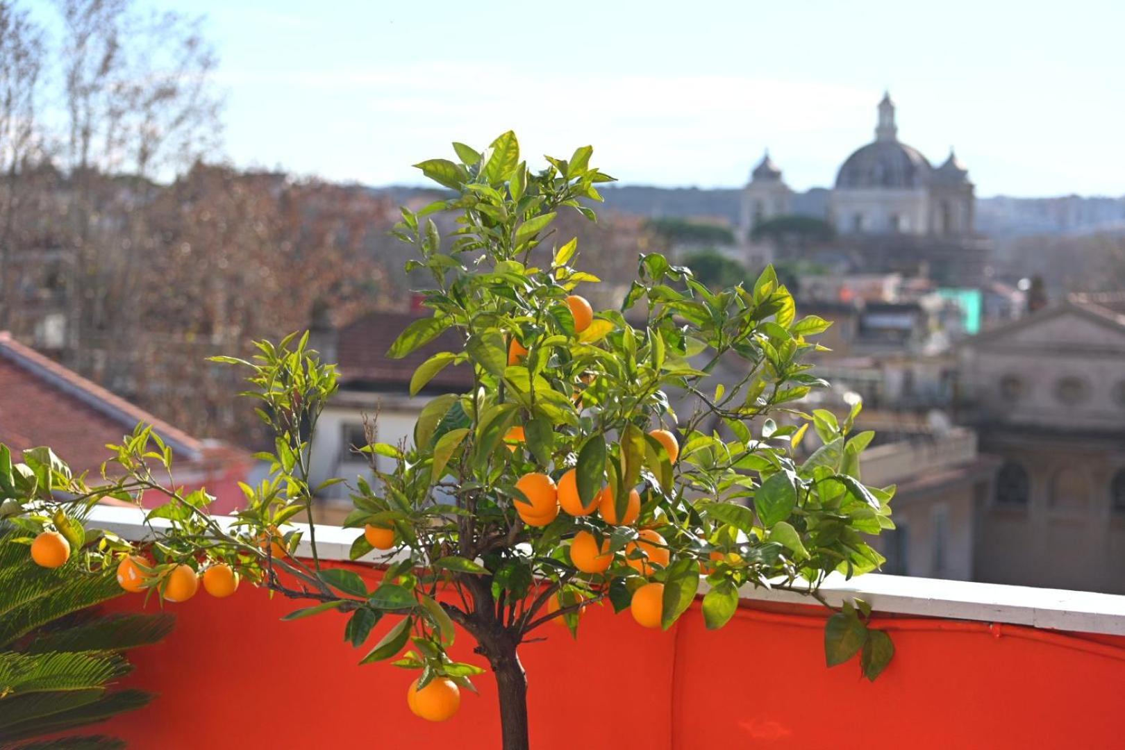 Farnesina Rooftop Terrace Rome Buitenkant foto